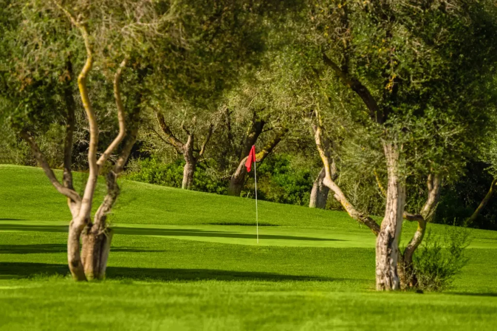 Son Antem East Golf Course View of the Flag on Hole 15 in Mallorca