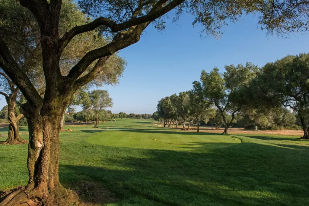 Son Antem East Golf Course View of Hole 12 in Mallorca