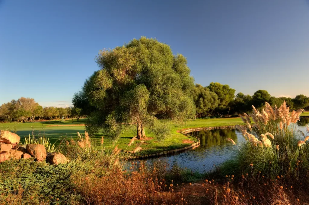 Son Antem East Golf Course View of Hole 12 in Mallorca