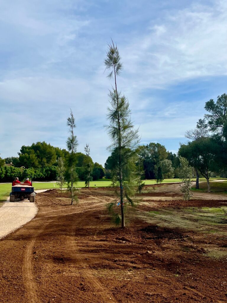 improvements on hole 1 East Course