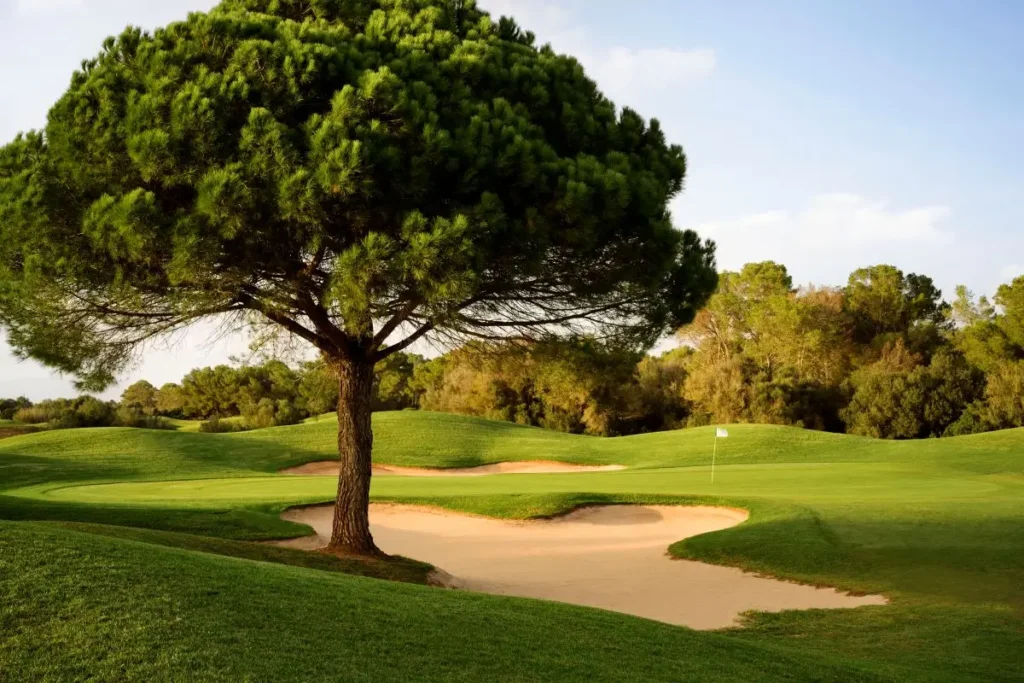 Son Antem West Golf Course in Mallorca Hole 17